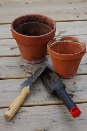 Utilisez des pots pour les iris lorsque le sol est gelé.