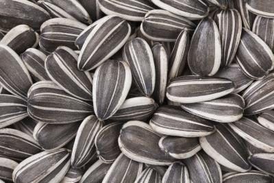 Snack sur les aliments riches en magnésium comme les graines de tournesol.