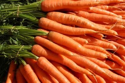 Les carottes sont riches en vitamine A et en carotène.