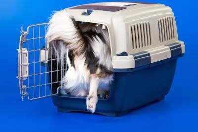 Dog Crate